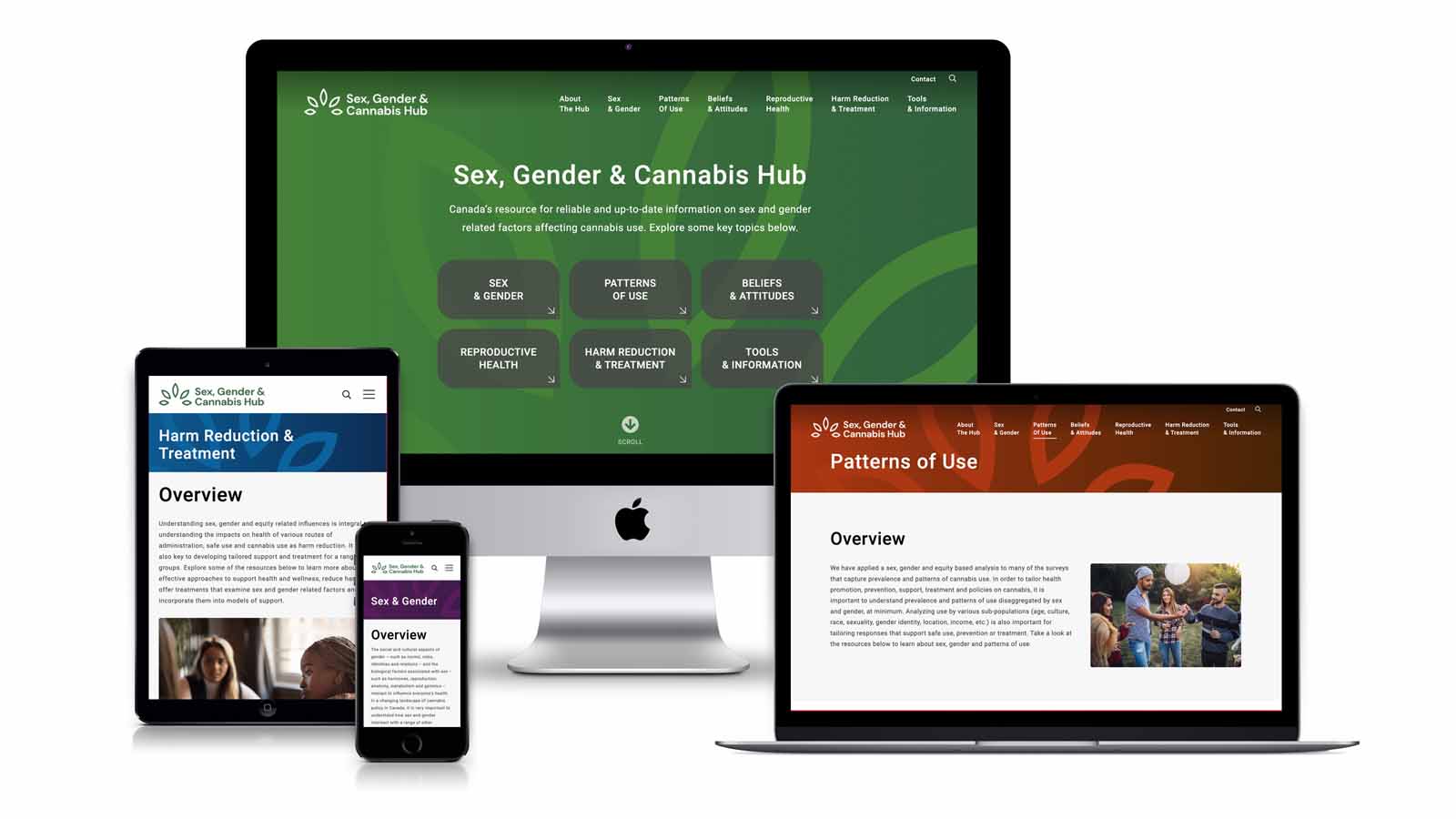cewh cannabis hub